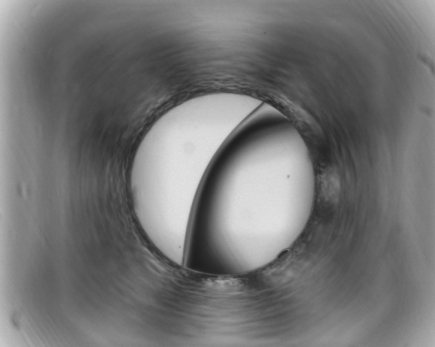 X0000099320517200805020756