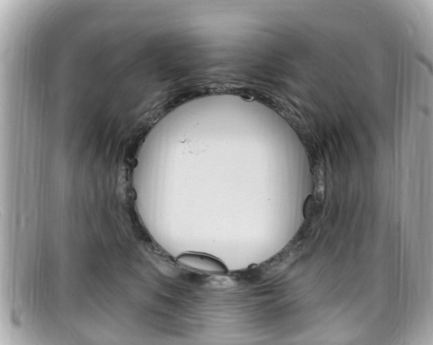 X0000099320519200805020756