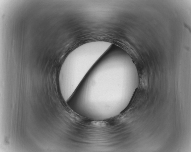 X0000099320520200805020756