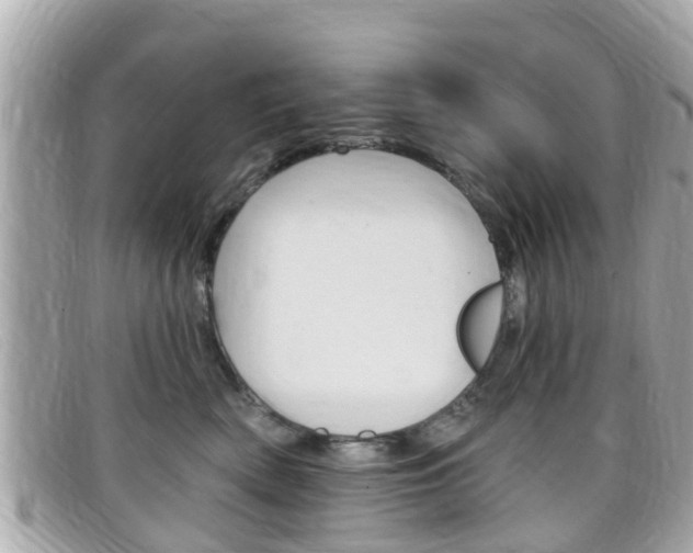 X0000099320522200805020756