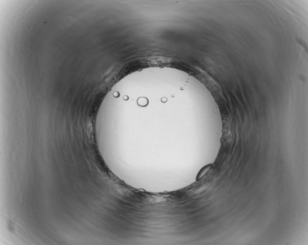 X0000099320523200805020756