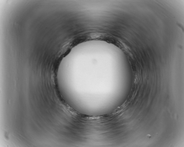 X0000099320524200805020756