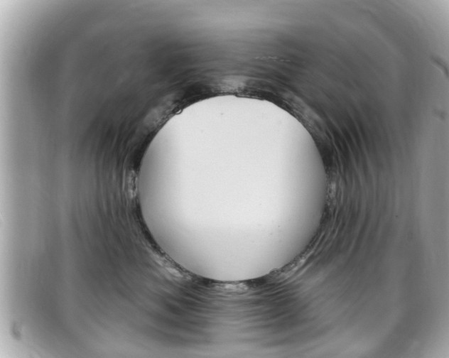 X0000099320525200805020756