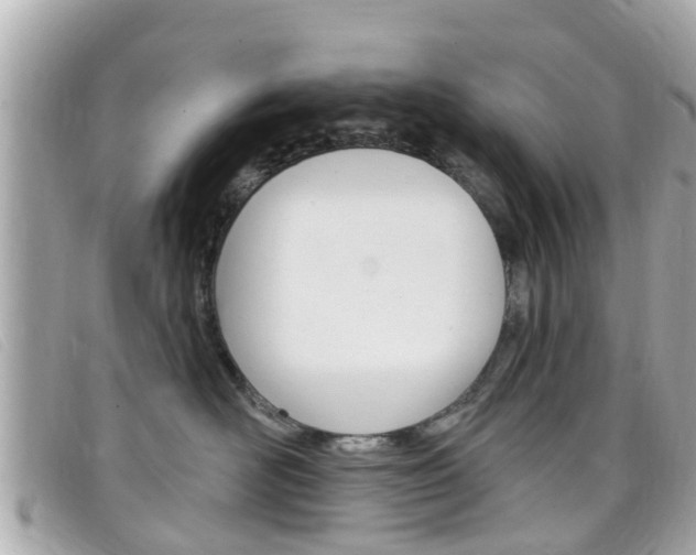 X0000099320526200805020756