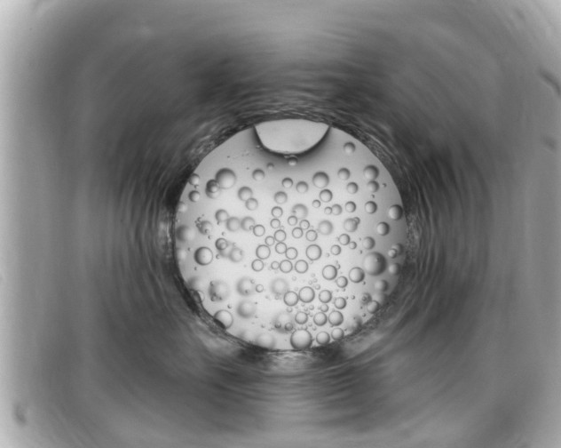 X0000099320527200805020756