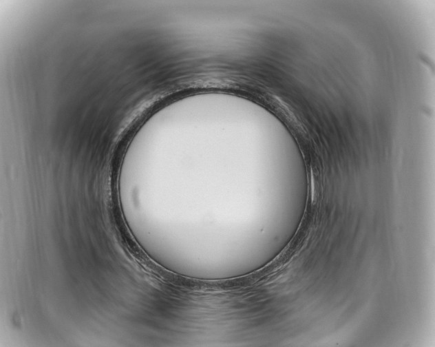X0000099320531200805020755