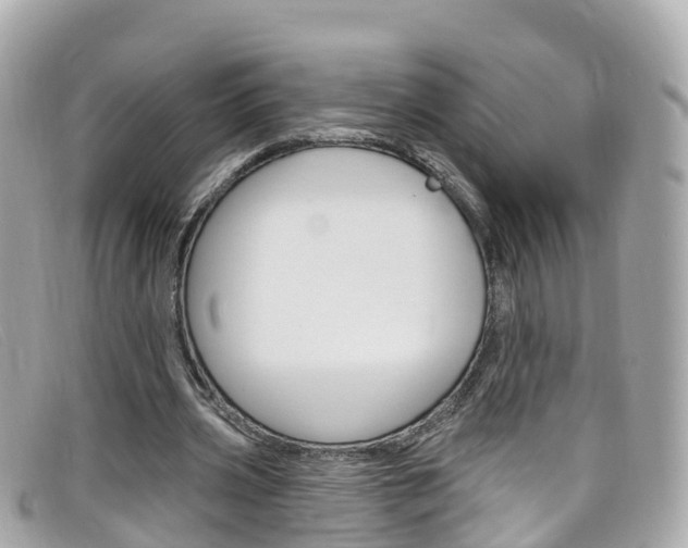 X0000099320533200805020755