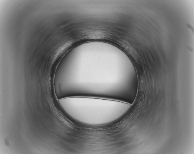 X0000099320535200805020755