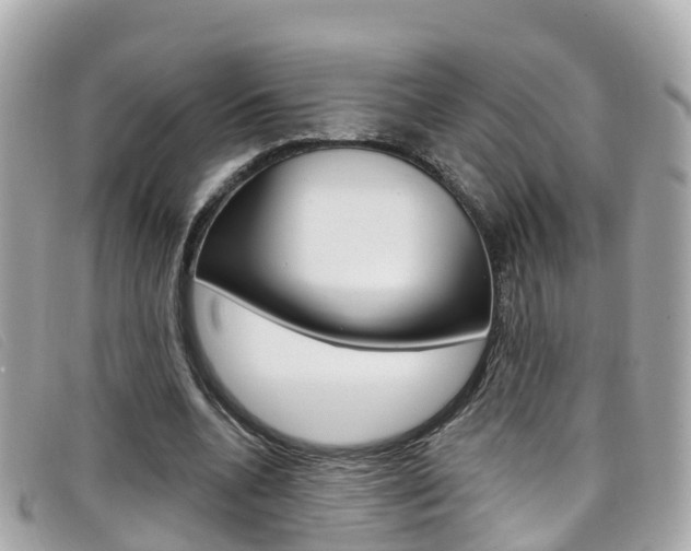 X0000099320536200805020755