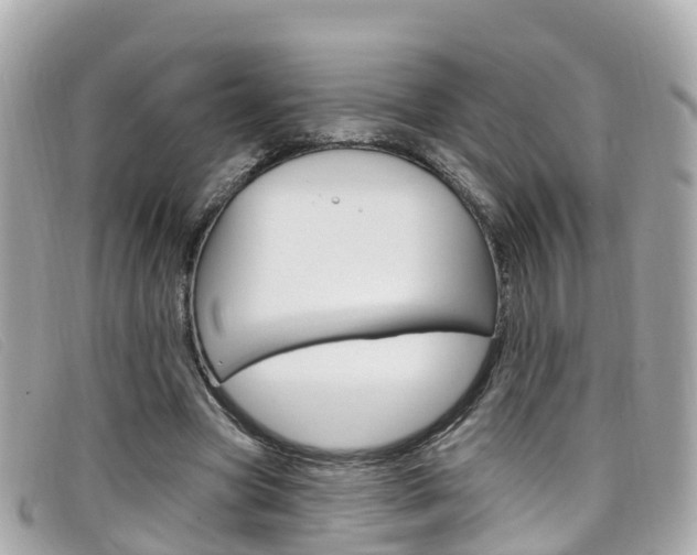 X0000099320537200805020755