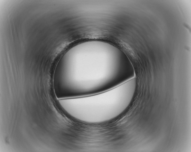 X0000099320540200805020755