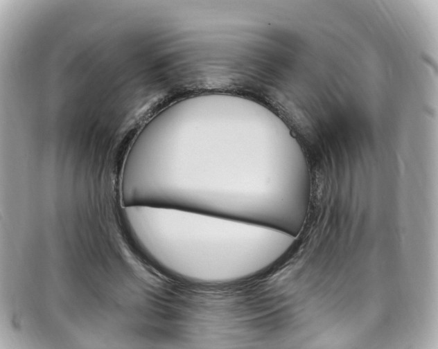 X0000099320542200805020755