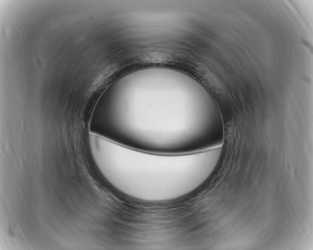 X0000099320544200805020755