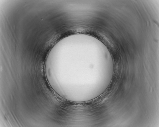 X0000099320545200805020755