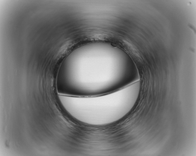 X0000099320548200805020755