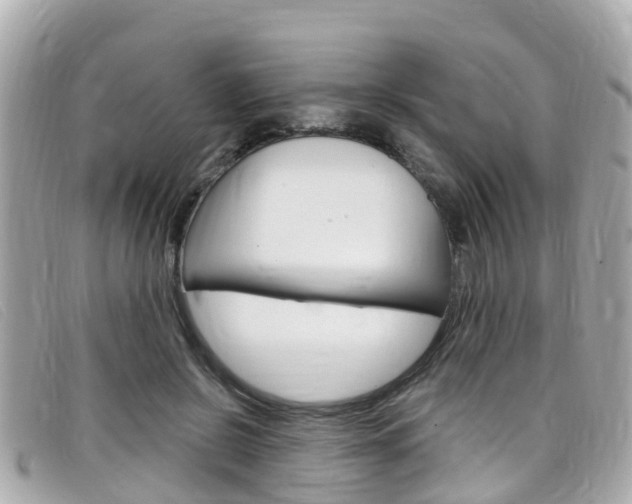 X0000099320550200805020755