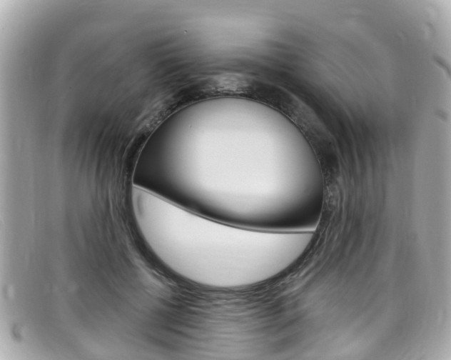 X0000099320552200805020755