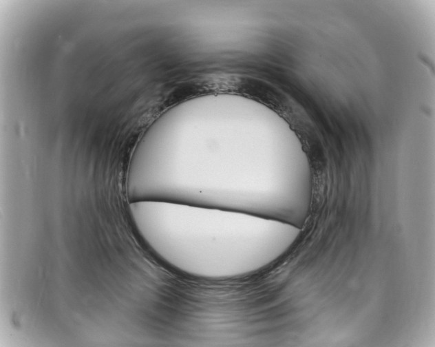 X0000099320553200805020755