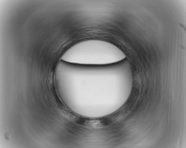 X0000099320554200805020755