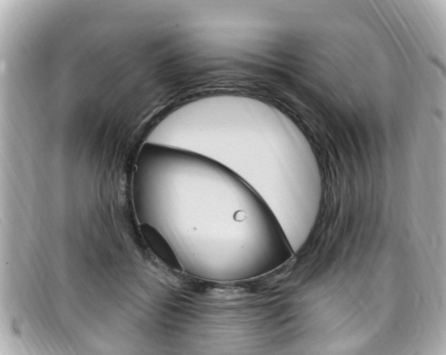 X0000099320556200805020755