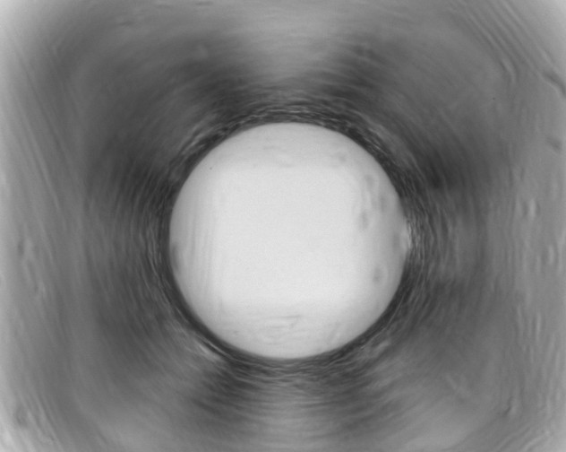 X0000099320558200805020755