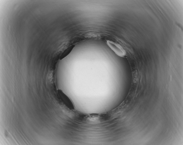 X0000099320560200805020755