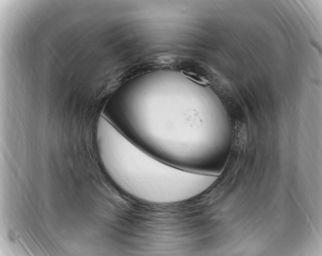 X0000099320562200805020755
