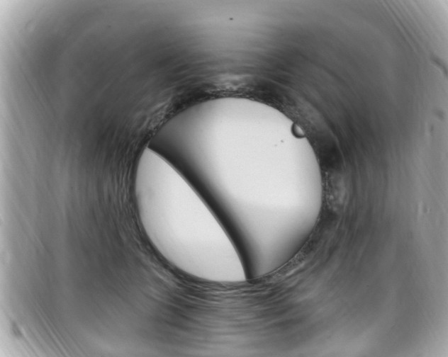 X0000099320563200805020755