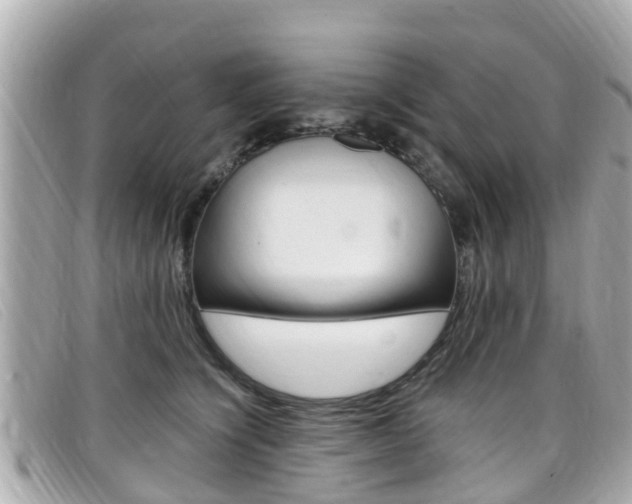 X0000099320564200805020755