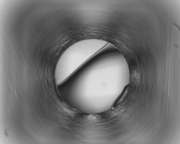X0000099320566200805020755