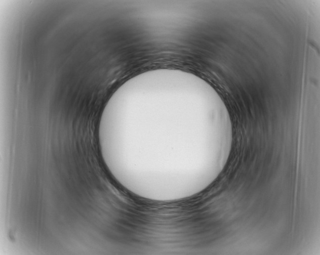 X0000099320568200805020755