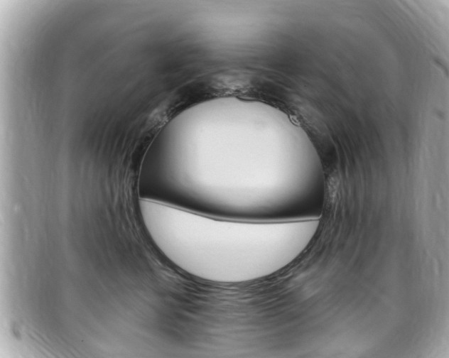 X0000099320570200805020755