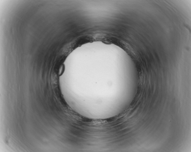 X0000099320571200805020755
