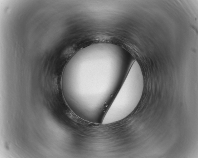 X0000099320572200805020756