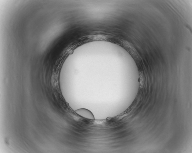 X0000099320573200805020756
