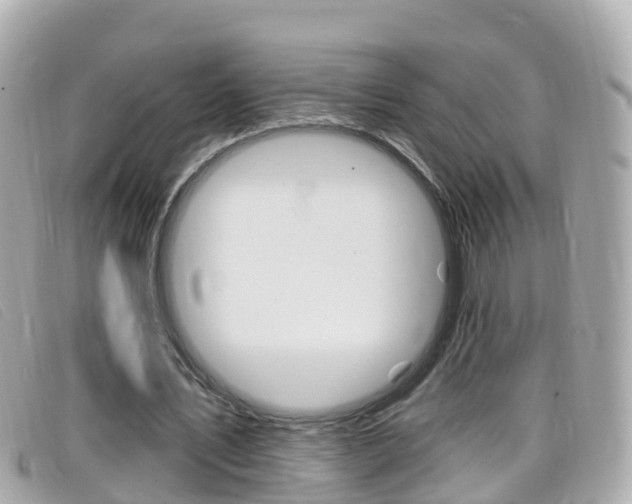 X0000099320579200805020755