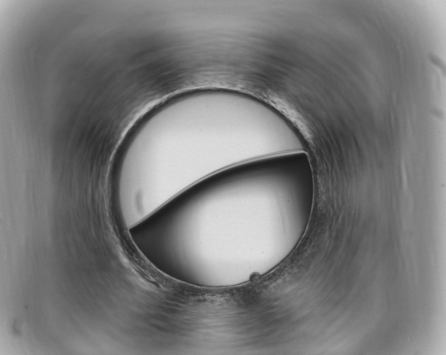 X0000099320580200805020755