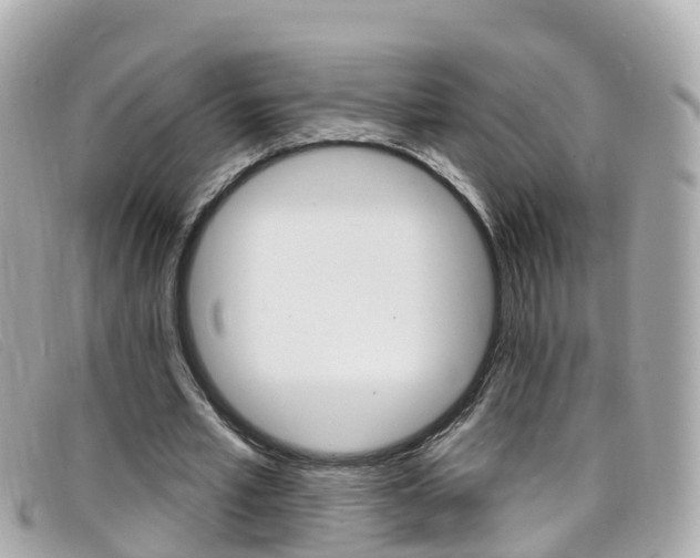 X0000099320581200805020755