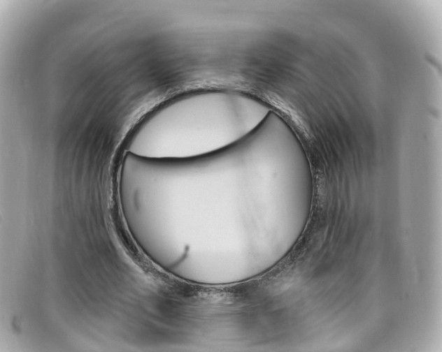 X0000099320582200805020755