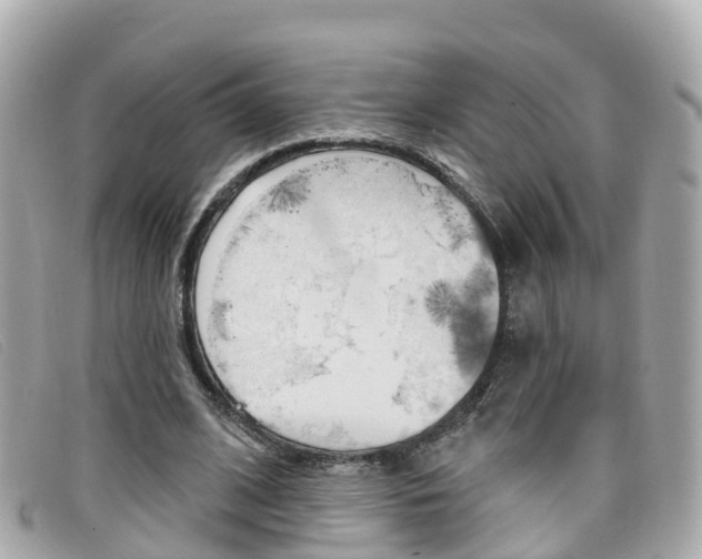 X0000099320584200805020755