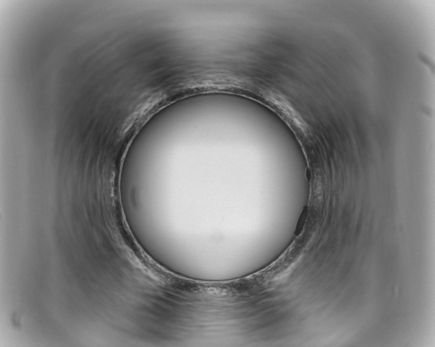 X0000099320585200805020755