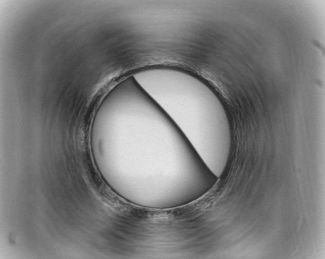 X0000099320587200805020755