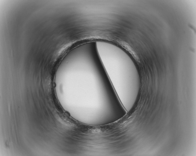 X0000099320588200805020755