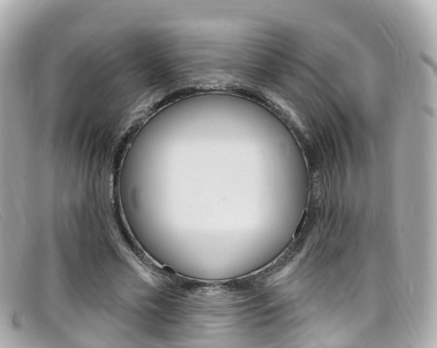 X0000099320589200805020755
