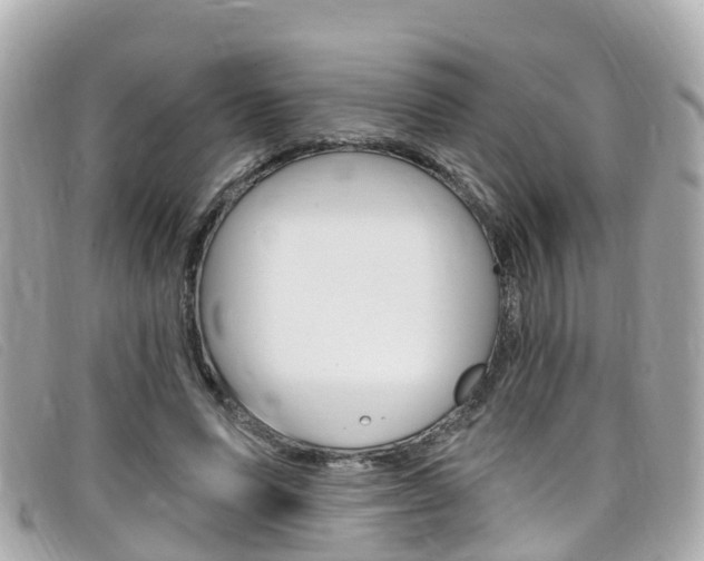 X0000099320591200805020755