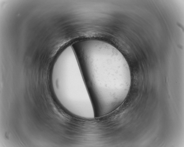 X0000099320592200805020755