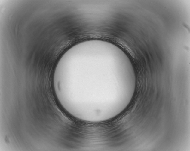 X0000099320593200805020755