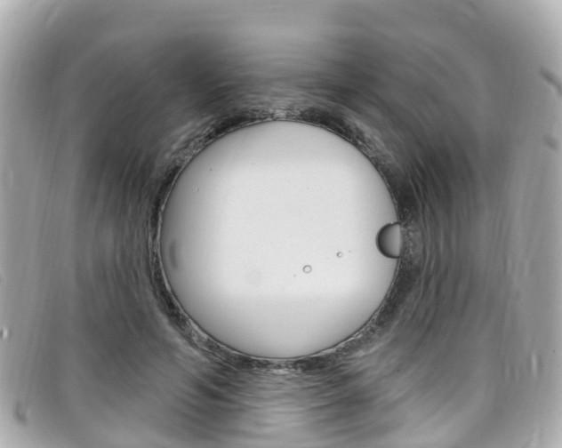 X0000099320594200805020755
