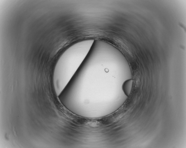 X0000099320595200805020755