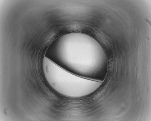 X0000099320597200805020755